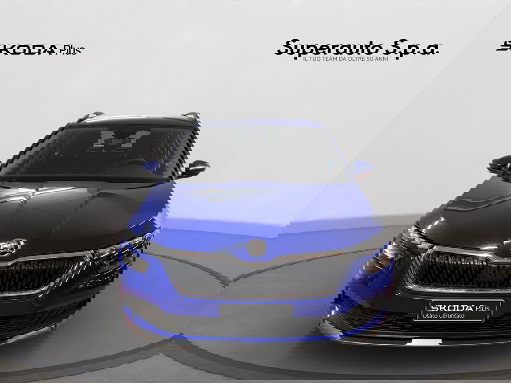 Skoda Kamiq usata a Padova (2)