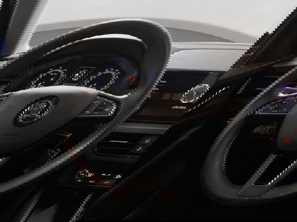 Skoda Kamiq usata a Padova (9)