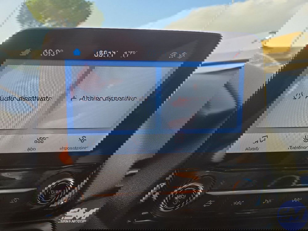 Ford EcoSport usata a Siena (10)