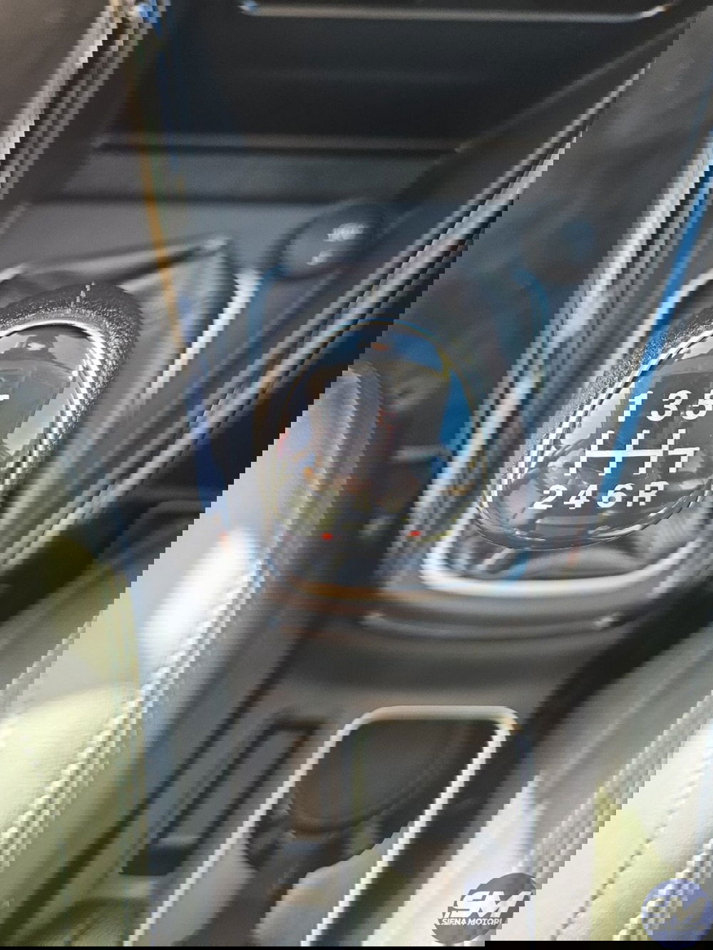 Ford EcoSport usata a Siena (12)