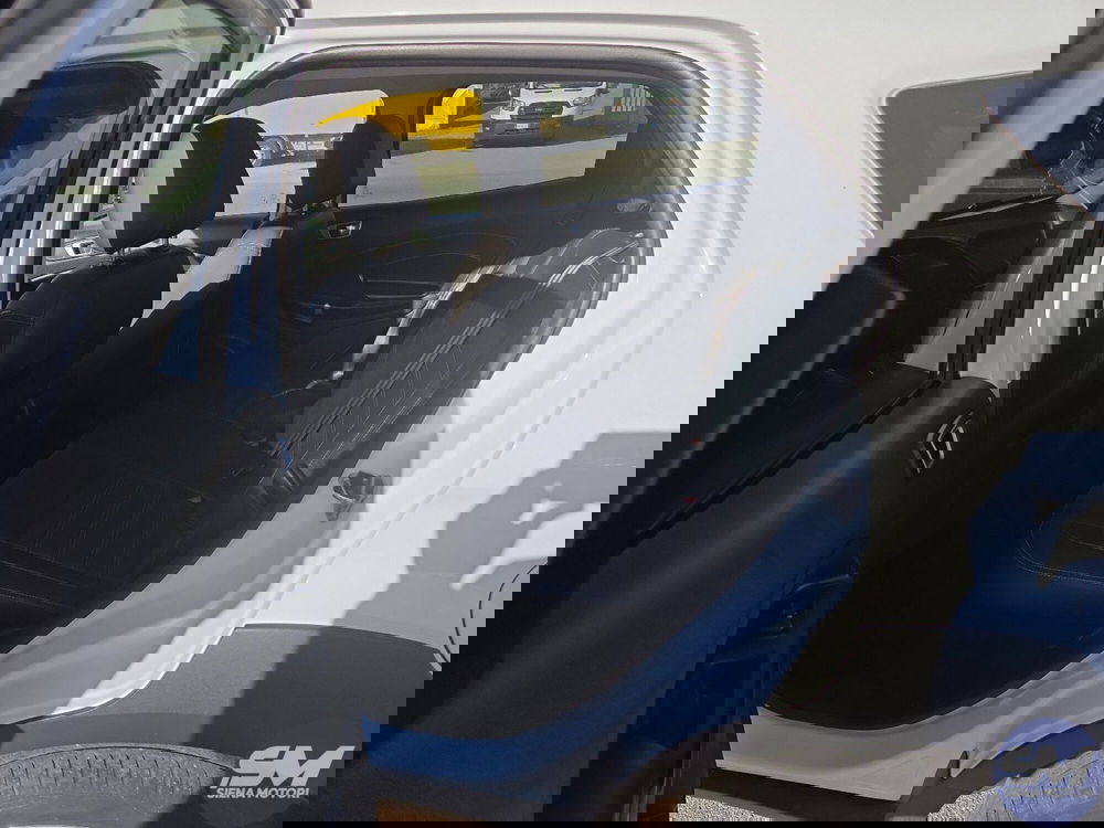 Ford EcoSport usata a Siena (17)