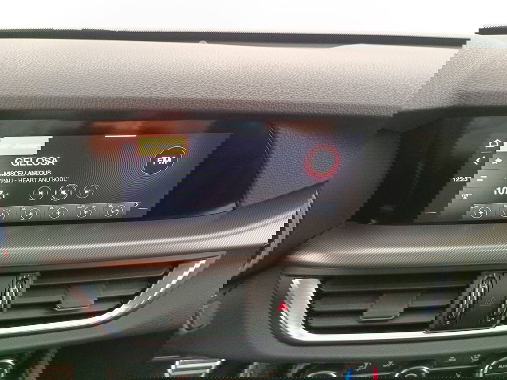 Alfa Romeo Stelvio usata a Treviso (16)