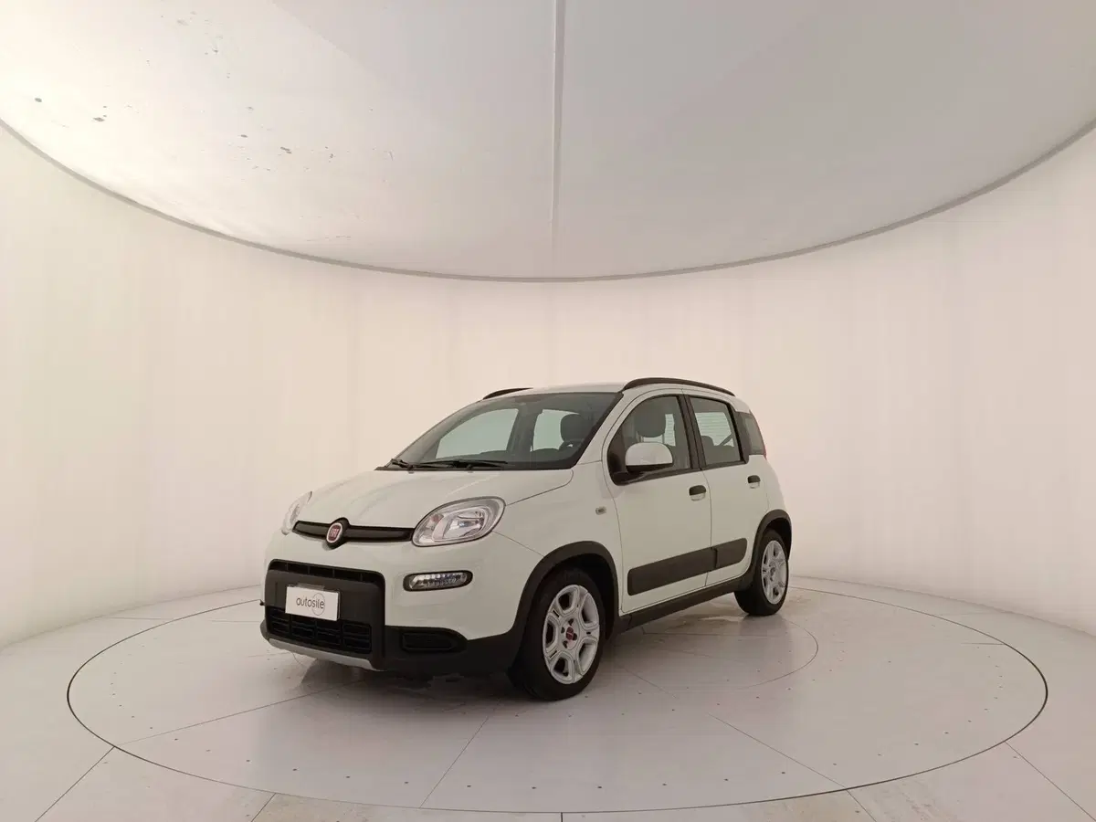 Fiat Panda usata a Treviso