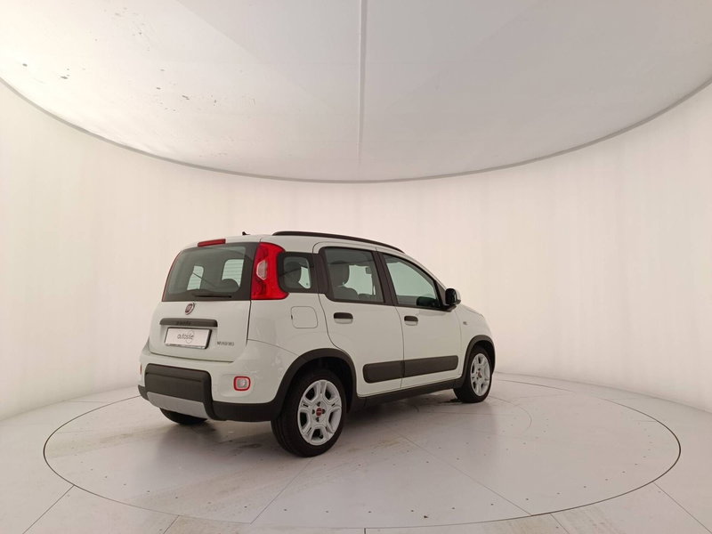 Fiat Panda usata a Treviso (6)