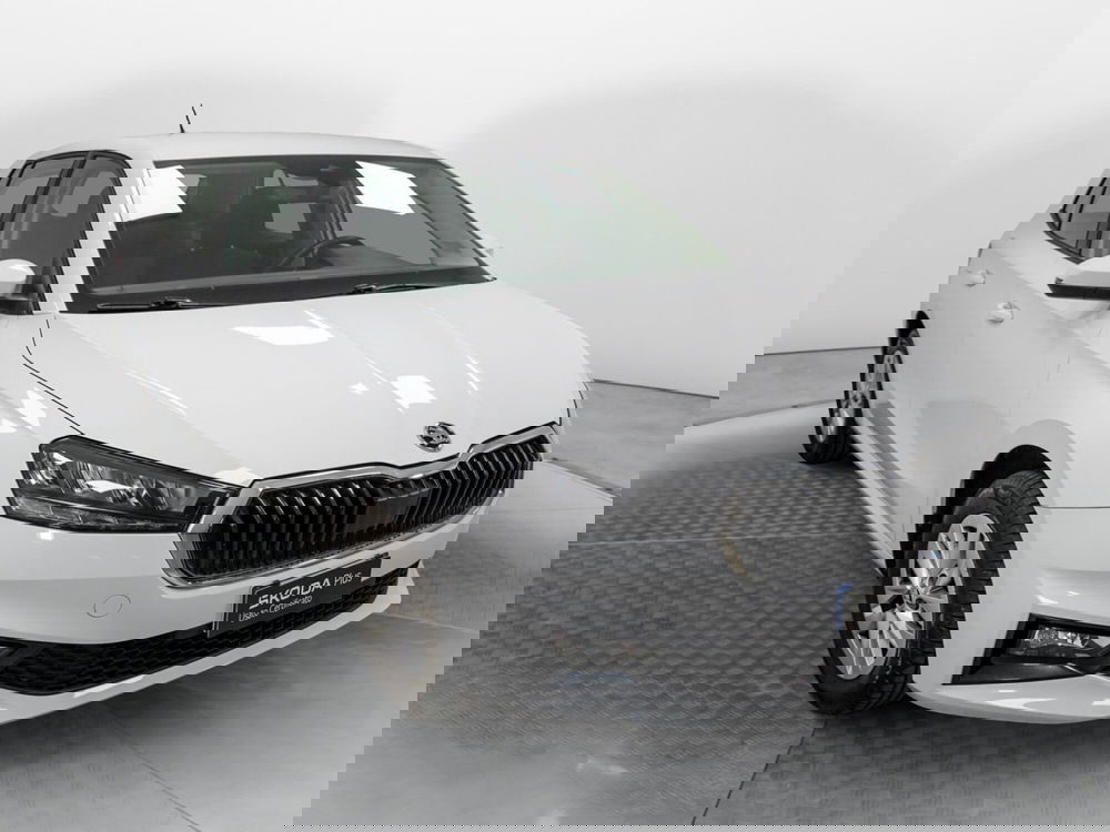 Skoda Fabia usata a Varese (3)