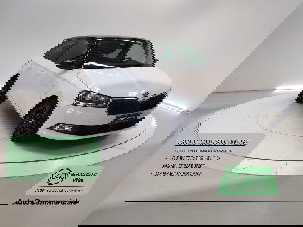 Skoda Fabia usata a Bologna