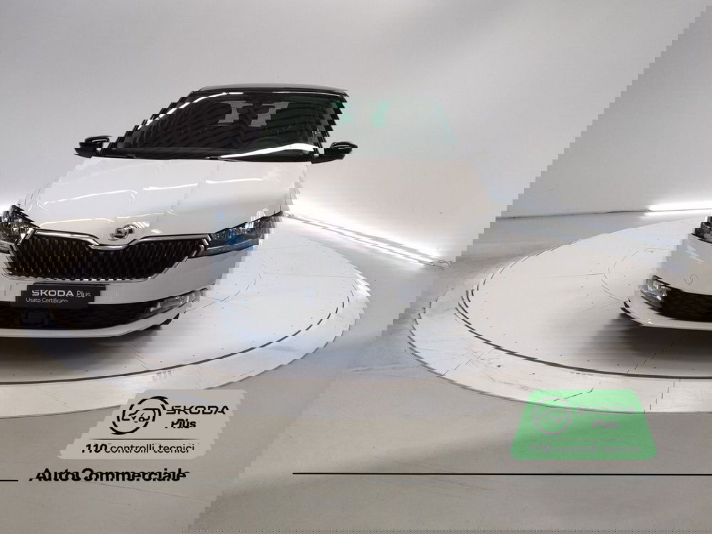 Skoda Fabia usata a Bologna (2)