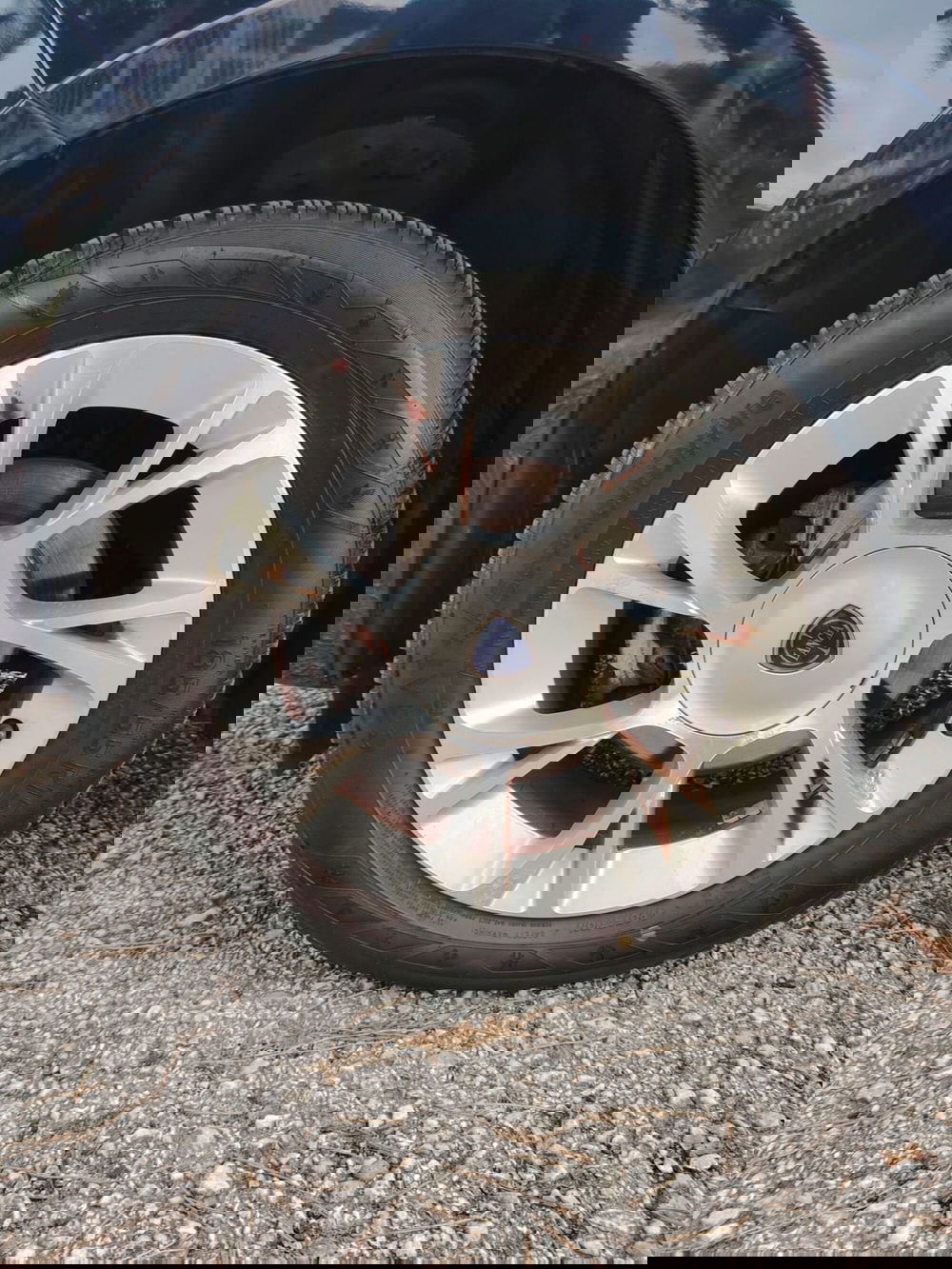 Lancia Ypsilon usata a Massa-Carrara (15)