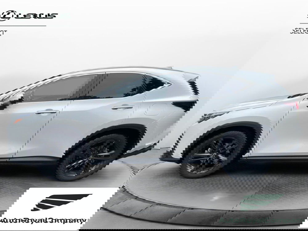 Lexus NX usata a Roma (3)