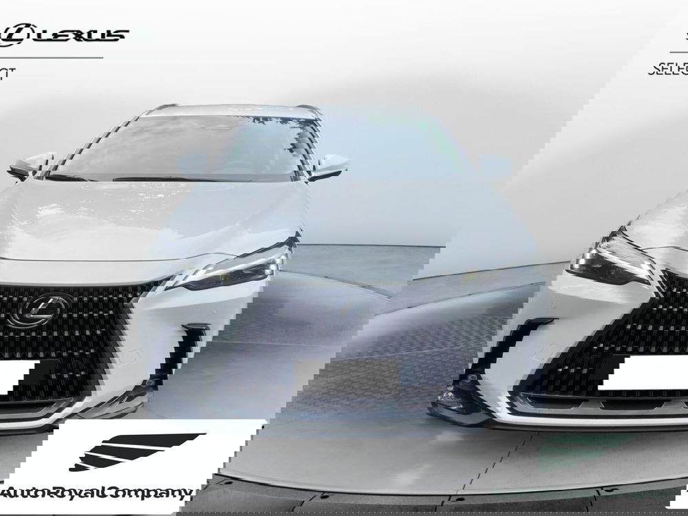 Lexus NX usata a Roma (9)