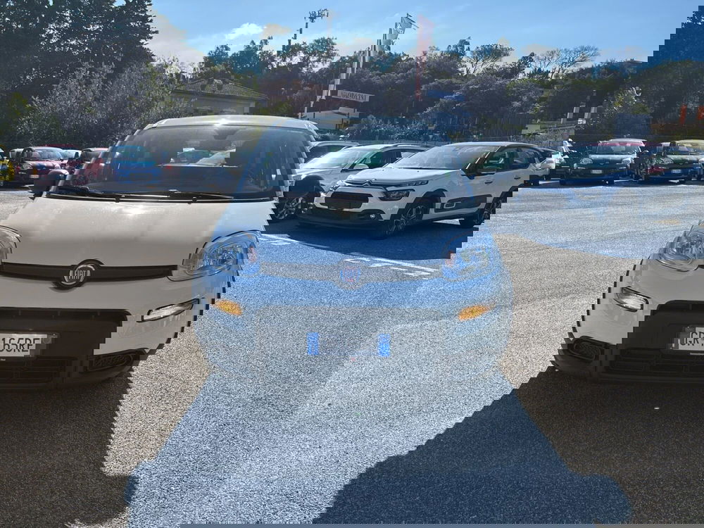 Fiat Panda usata a Roma (6)