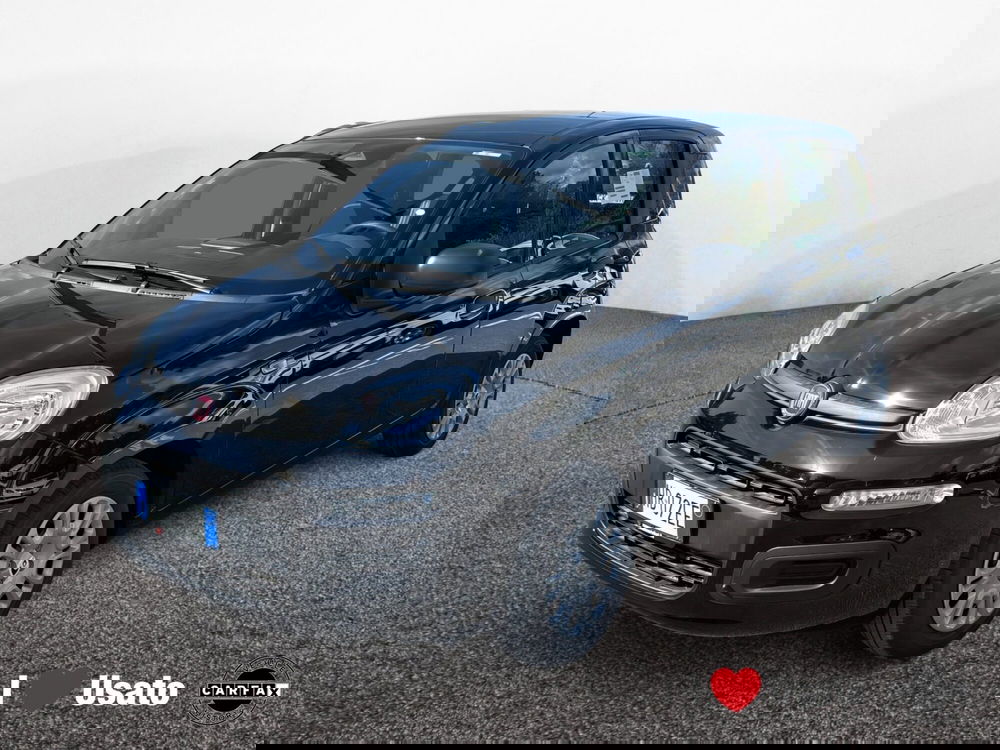 Fiat Panda nuova a Latina