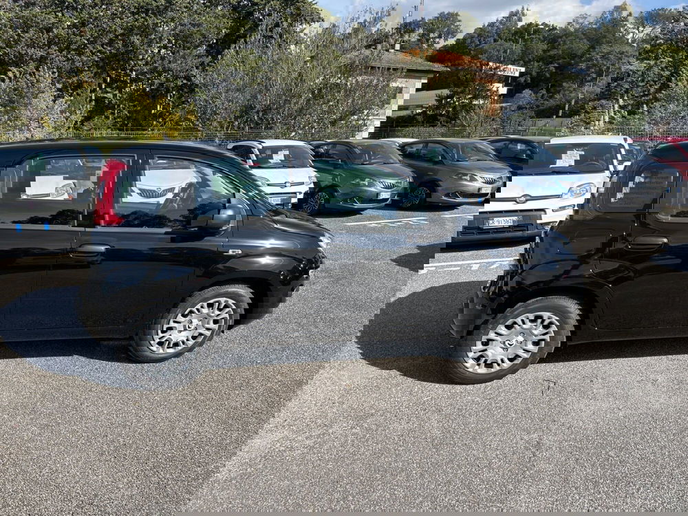 Fiat Panda nuova a Latina (6)