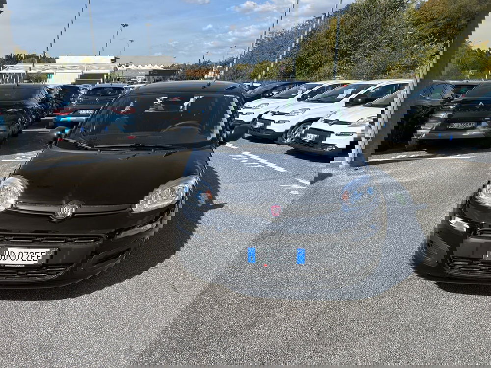 Fiat Panda nuova a Latina (7)