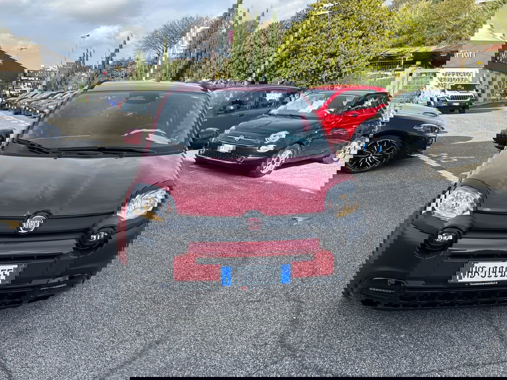 Fiat Panda nuova a Latina (7)