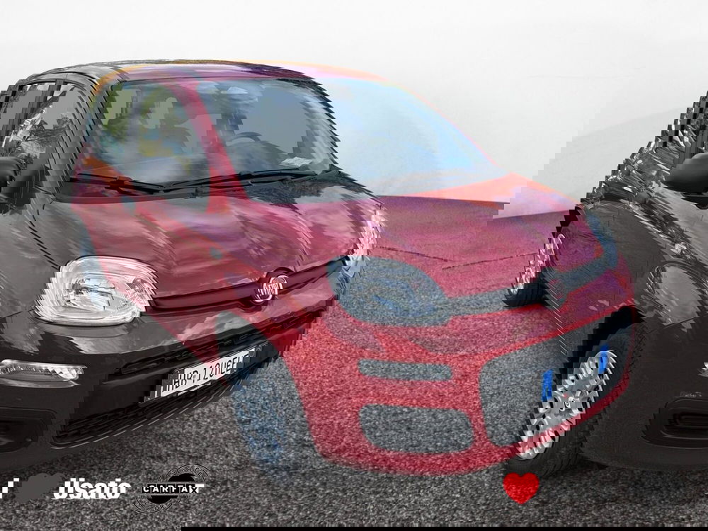 Fiat Panda nuova a Latina (2)