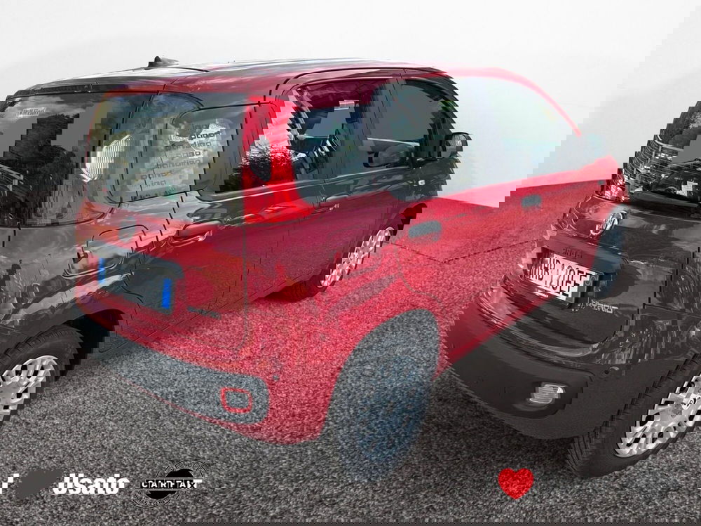 Fiat Panda nuova a Latina (3)