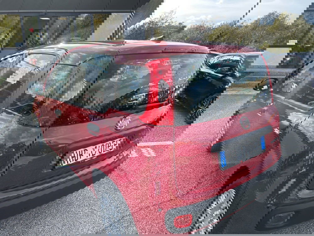 Fiat Panda nuova a Latina (4)