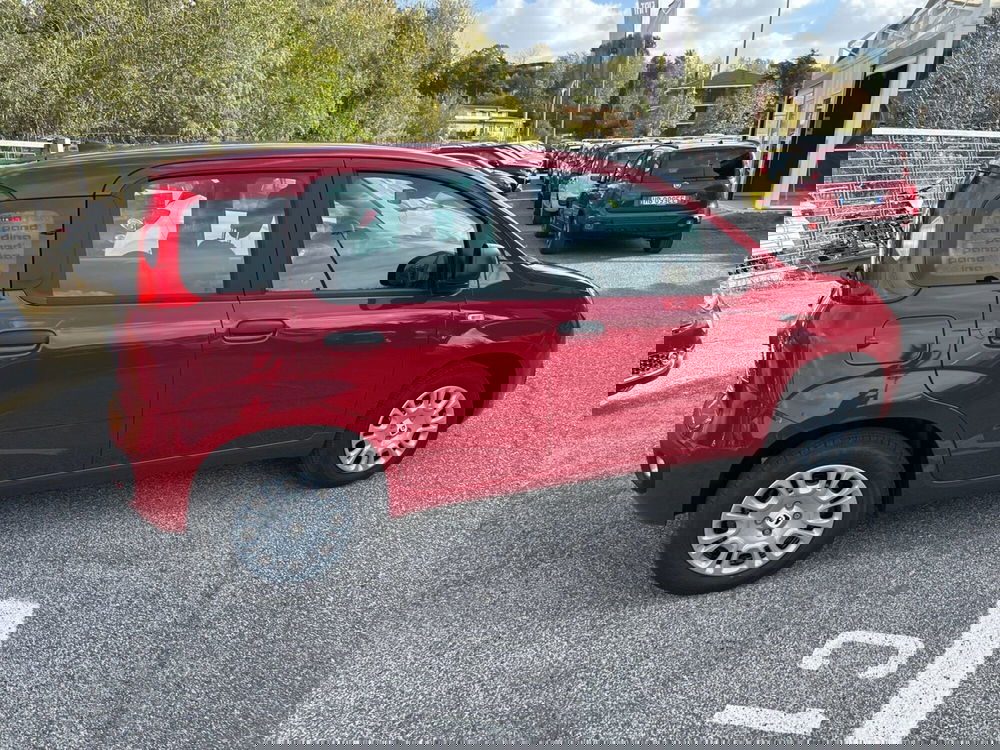 Fiat Panda nuova a Latina (6)