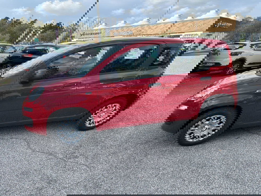 Fiat Panda nuova a Latina (8)