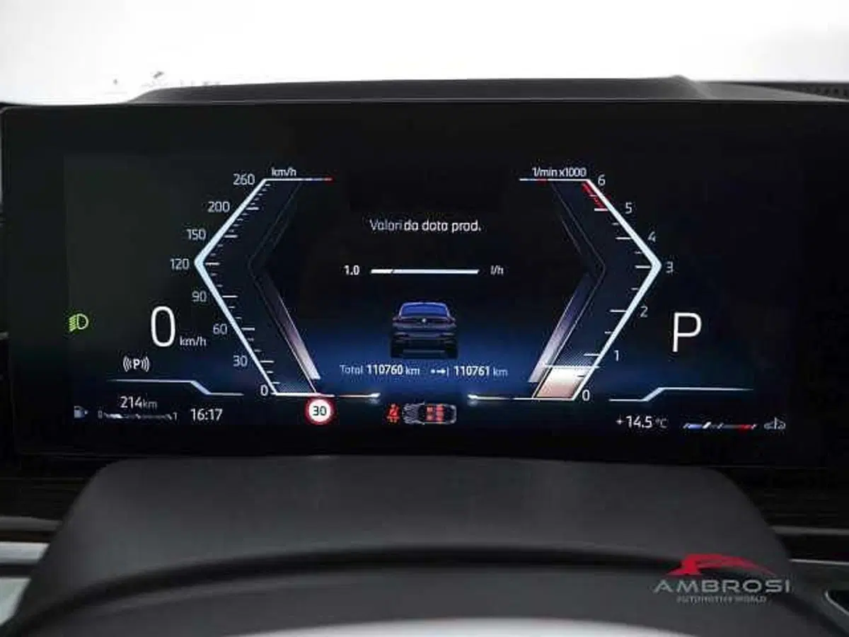 BMW X6 usata a Perugia (13)