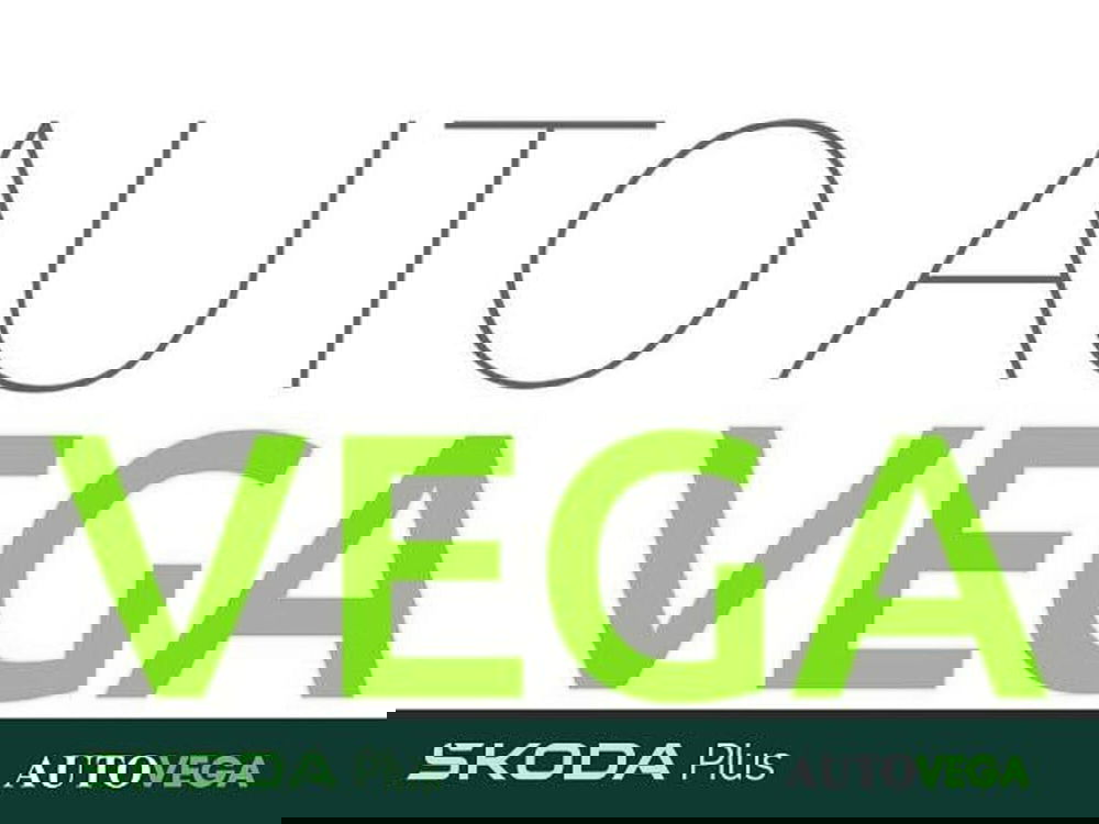 Skoda Fabia nuova a Vicenza