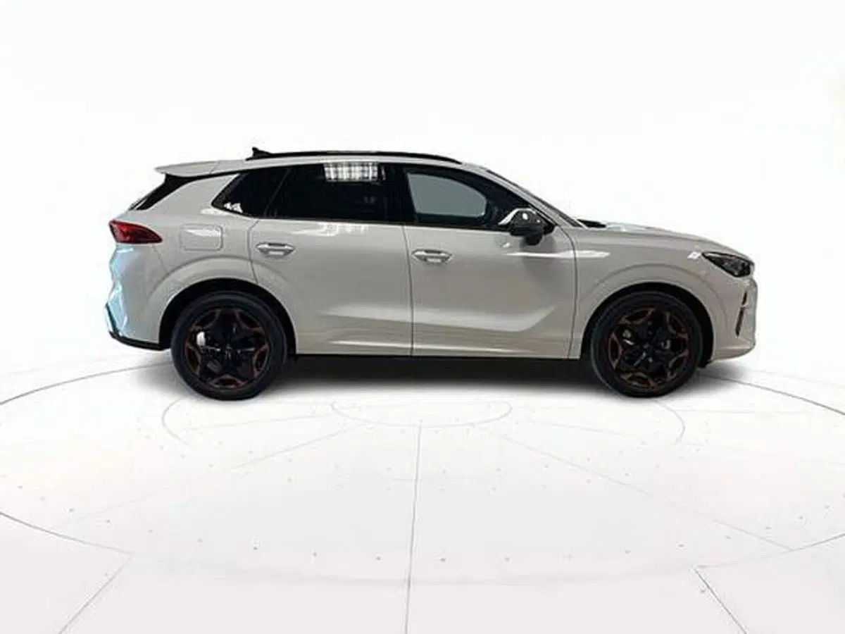 Cupra Terramar nuova a Vicenza (3)