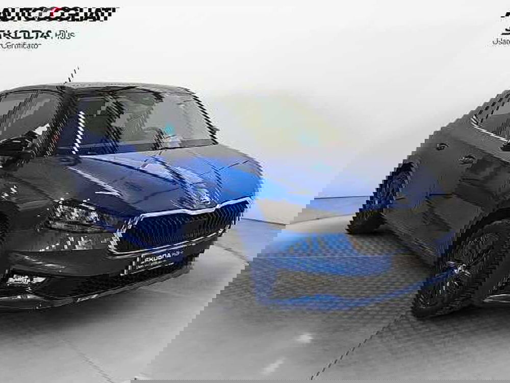 Skoda Fabia usata a Lecco (3)