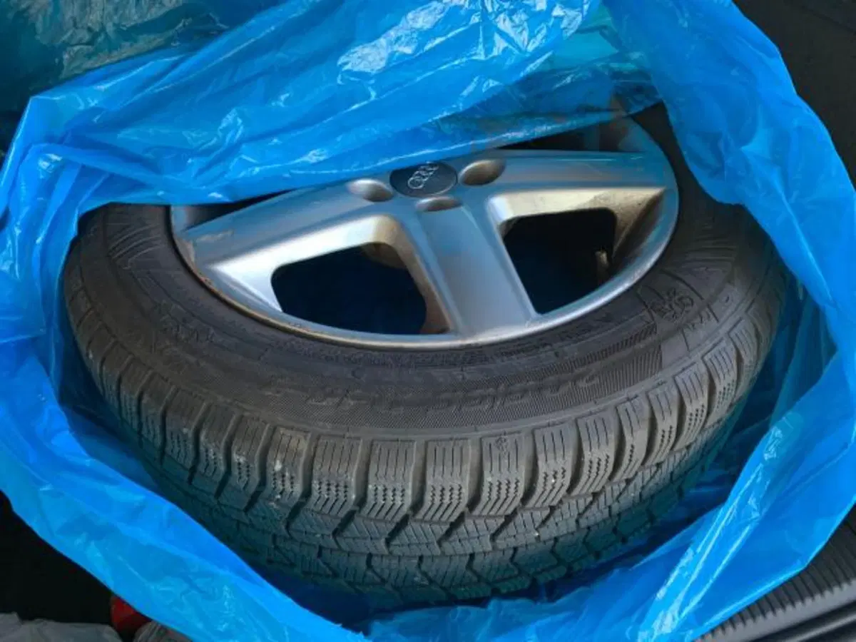 Audi A3 usata a Trieste (16)