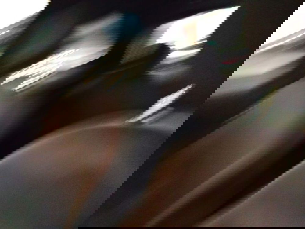 Fiat 500 usata a Forlì-Cesena (16)