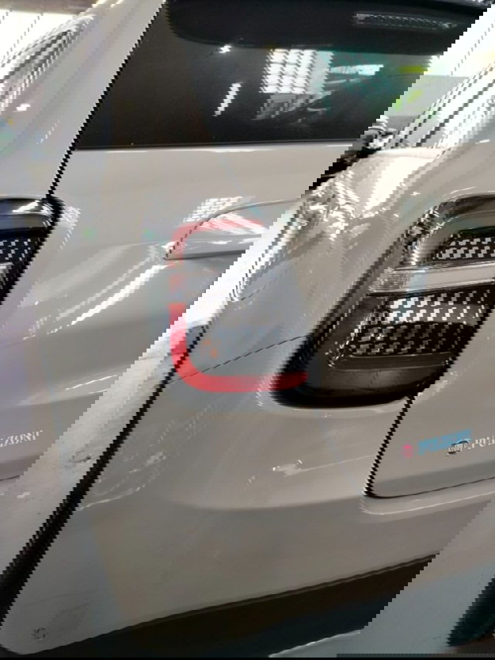 Fiat 600 usata a Forlì-Cesena (12)