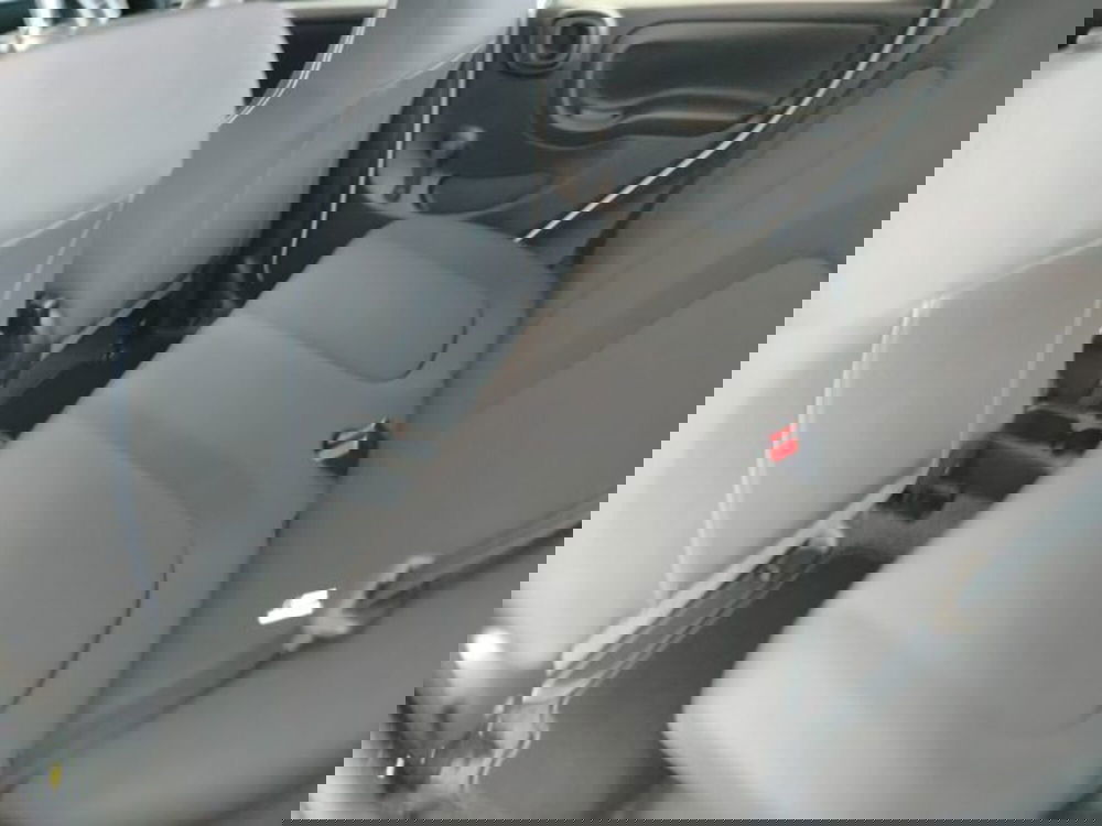 Fiat Panda usata a Forlì-Cesena (18)