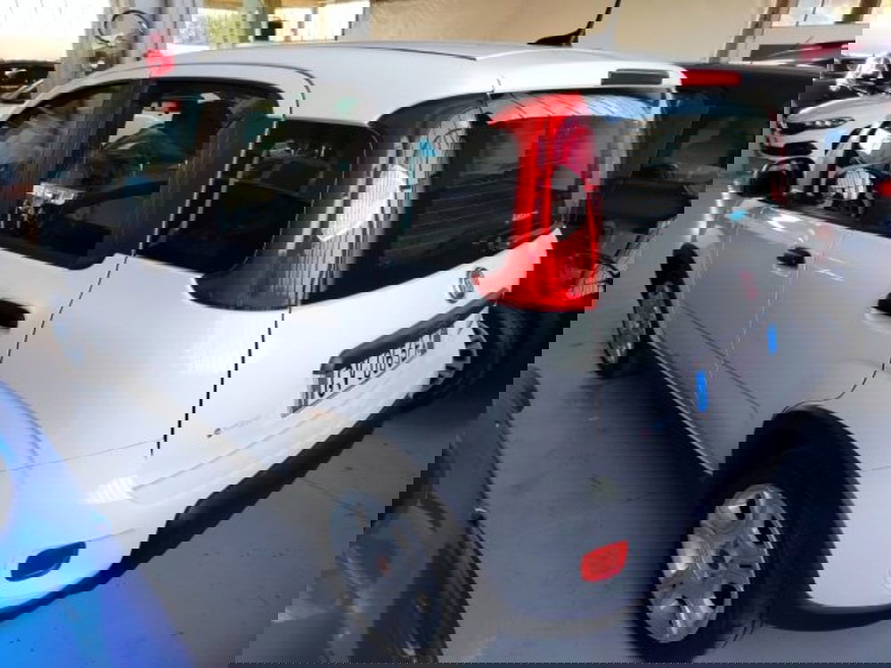 Fiat Panda usata a Forlì-Cesena (6)