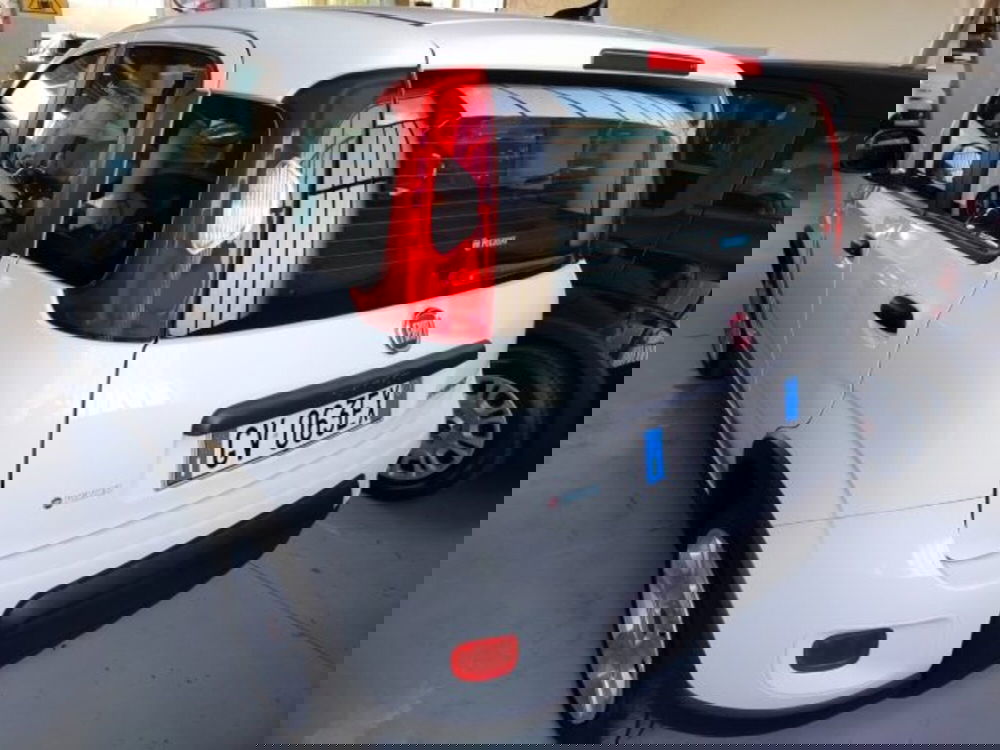 Fiat Panda usata a Forlì-Cesena (7)