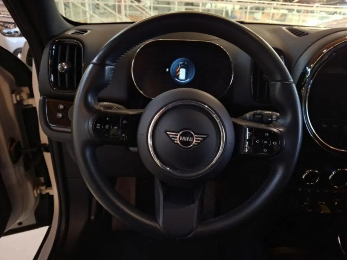 MINI Mini Countryman usata a Vicenza (16)