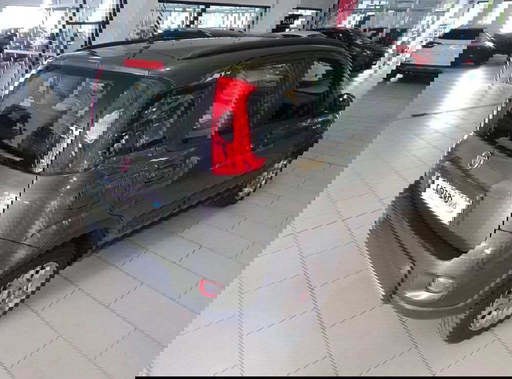 Fiat Panda usata a Alessandria (11)