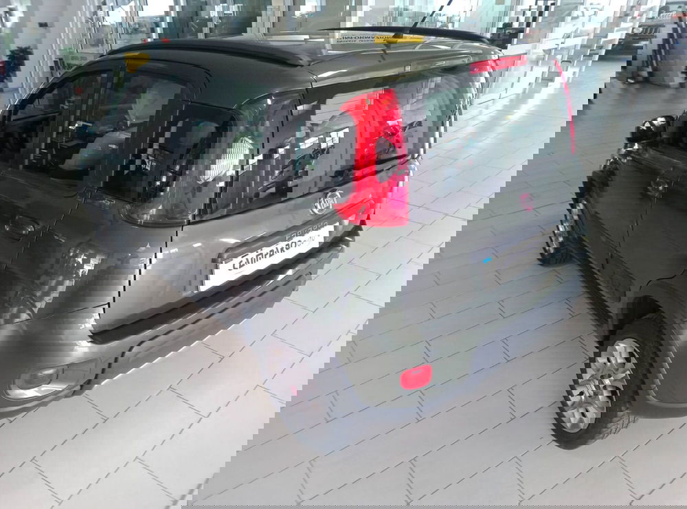 Fiat Panda usata a Alessandria (13)