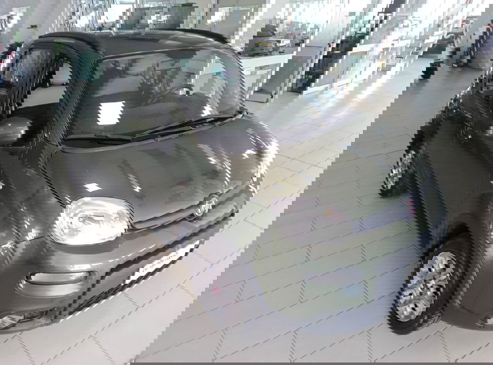 Fiat Panda usata a Alessandria (3)
