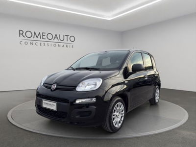 Fiat Panda 1.0 firefly hybrid s&amp;s 70cv 5p.ti del 2025 usata a Gubbio
