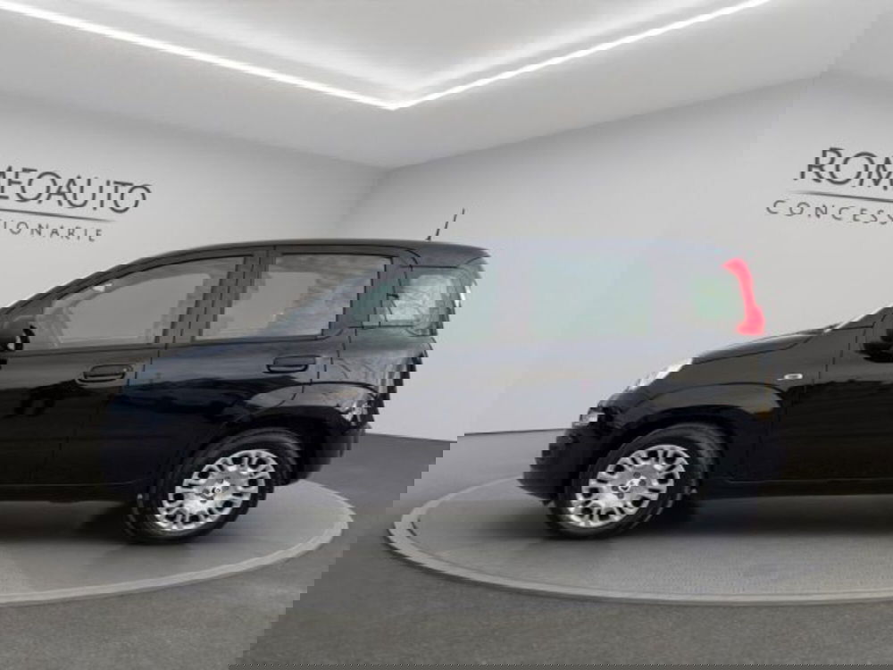 Fiat Panda usata a Perugia (3)