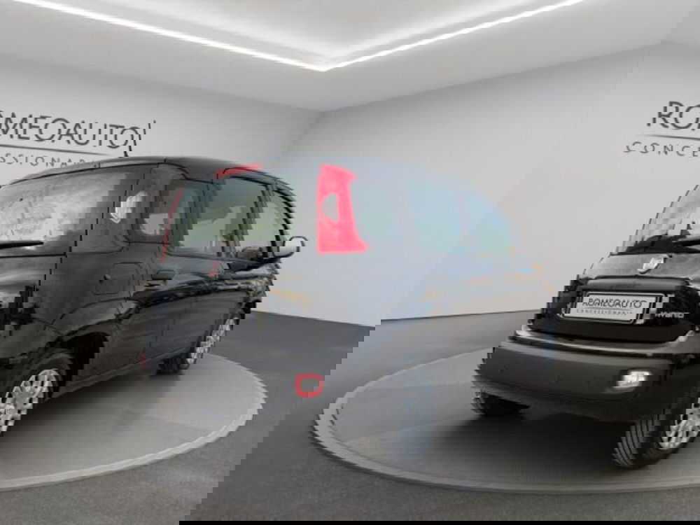 Fiat Panda usata a Perugia (6)