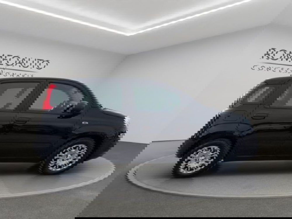 Fiat Panda usata a Perugia (7)