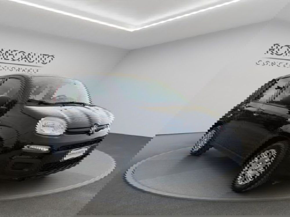 Fiat Panda usata a Perugia (8)