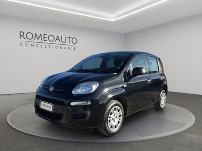 Fiat Panda 1.0 firefly hybrid s&amp;s 70cv 5p.ti del 2025 usata a Gubbio