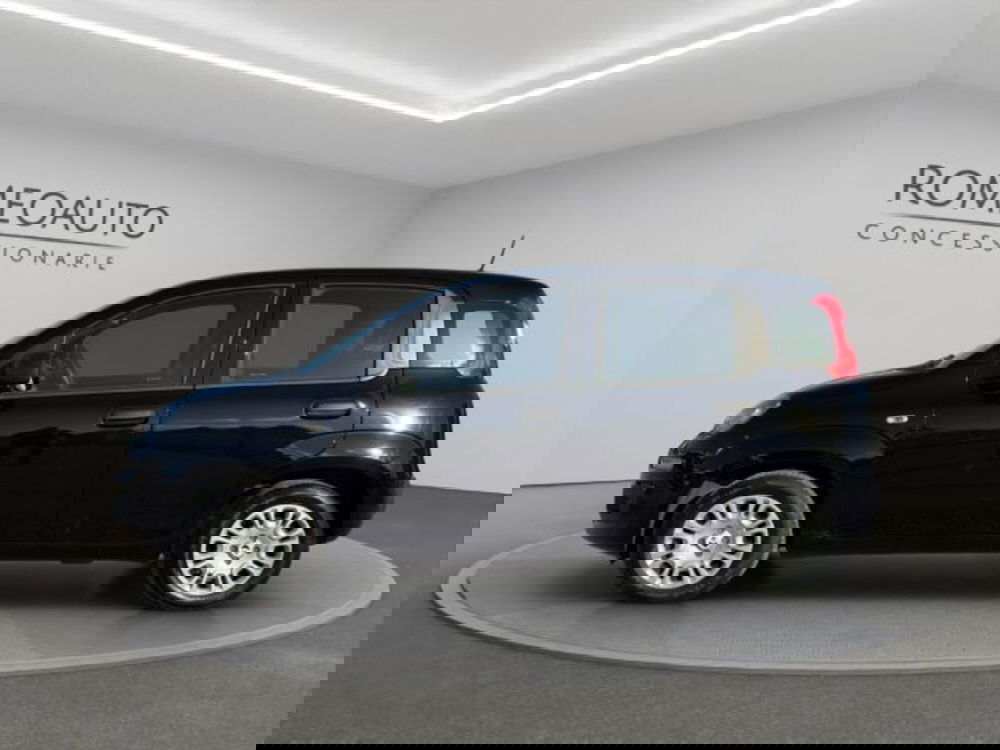 Fiat Panda usata a Perugia (2)