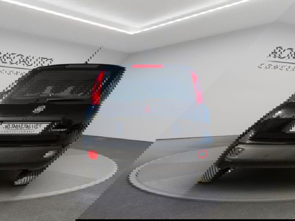 Fiat Panda usata a Perugia (4)