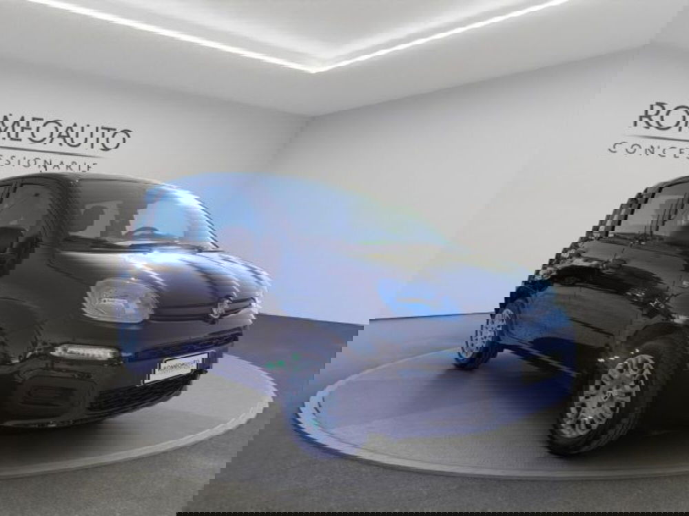 Fiat Panda usata a Perugia (7)