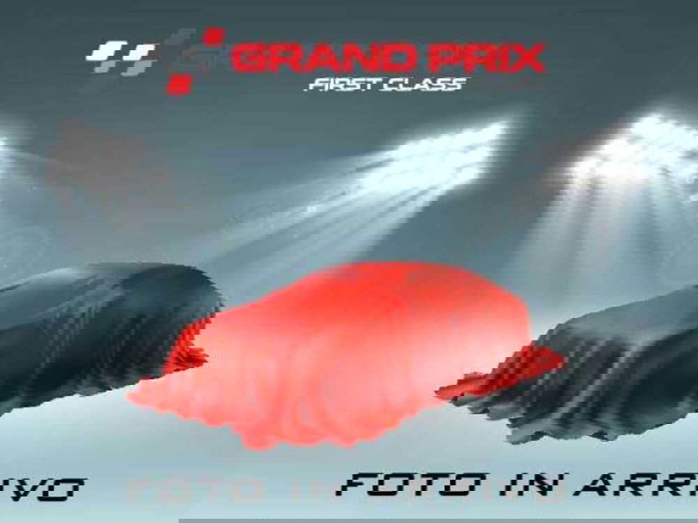 Renault Clio usata a Bologna