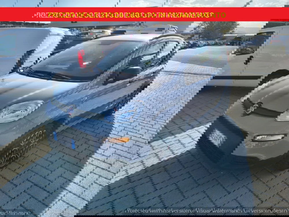 Fiat Panda usata a Firenze