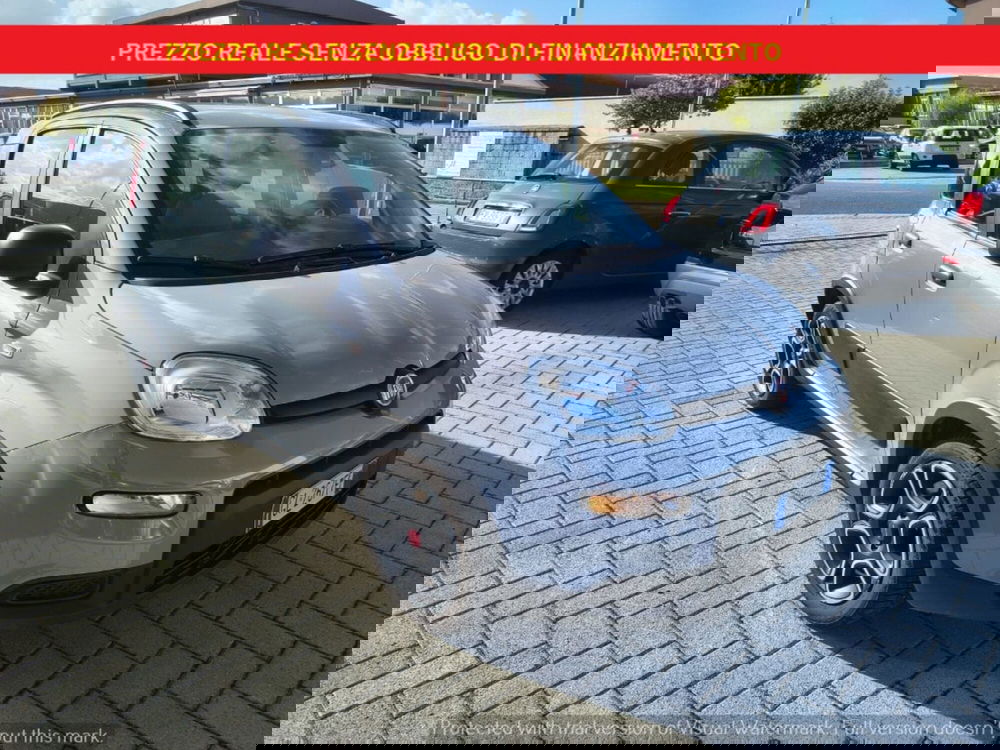 Fiat Panda usata a Firenze (3)